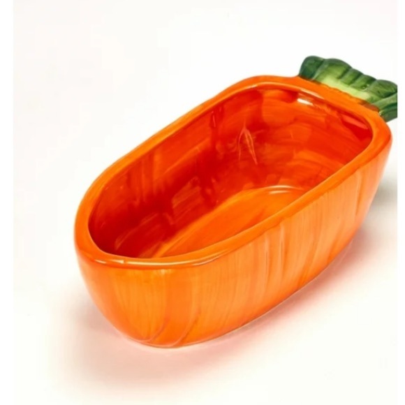 Vege - T - Bowl  22 oz  Carrot Bowl Made for Small Pets Rabbits Guinea Pigs - Picture 2 of 5